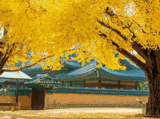 韩国外贸数据,外贸数据,巅峰国际外贸数据 韩国外贸数据,外贸数据,巅峰国际外贸数据
