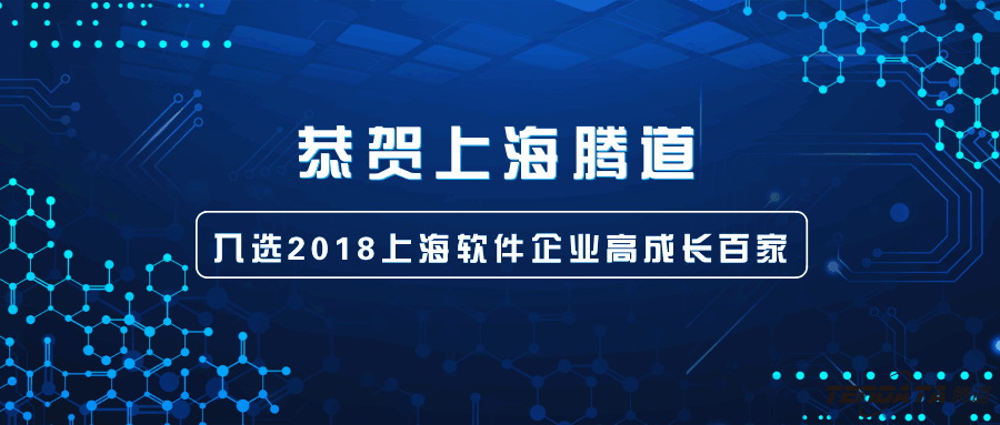 上海软件企业高成长百家,上海巅峰国际,经信委,上海巅峰国际信息技术有限公司